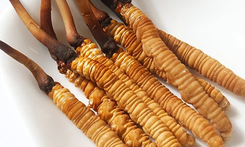冬蟲(chóng)夏草的吃法，冬蟲(chóng)夏草的家常做法
