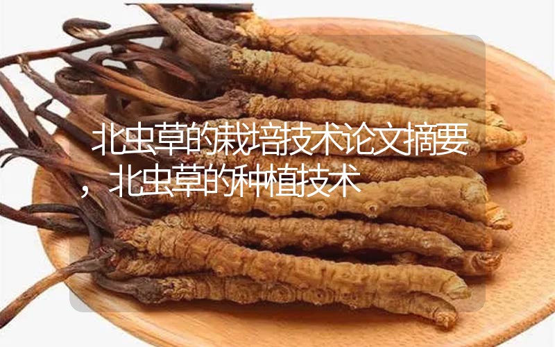 北蟲草的栽培技術(shù)論文摘要，北蟲草的種植技術(shù)