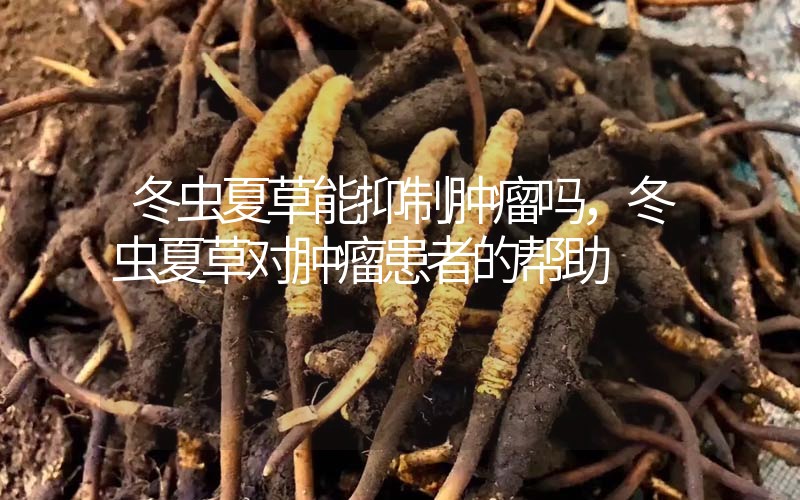 冬蟲夏草能抑制腫瘤嗎？冬蟲夏草對腫瘤患者的幫助