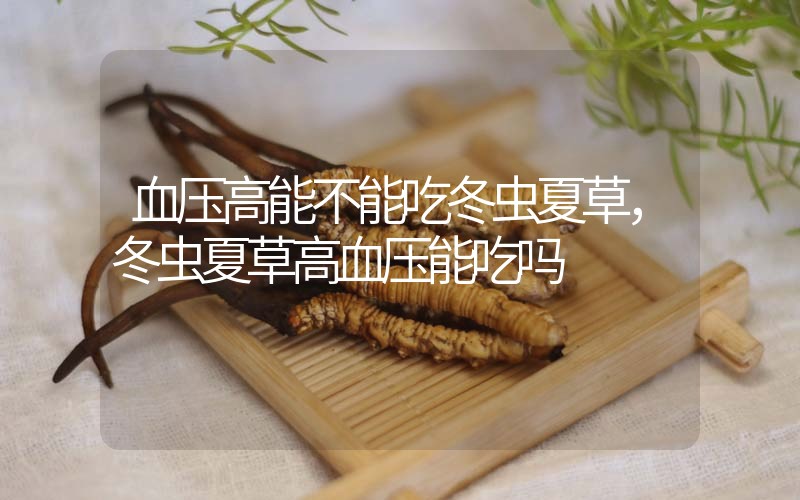 血壓高能不能吃冬蟲(chóng)夏草，冬蟲(chóng)夏草高血壓能吃嗎？