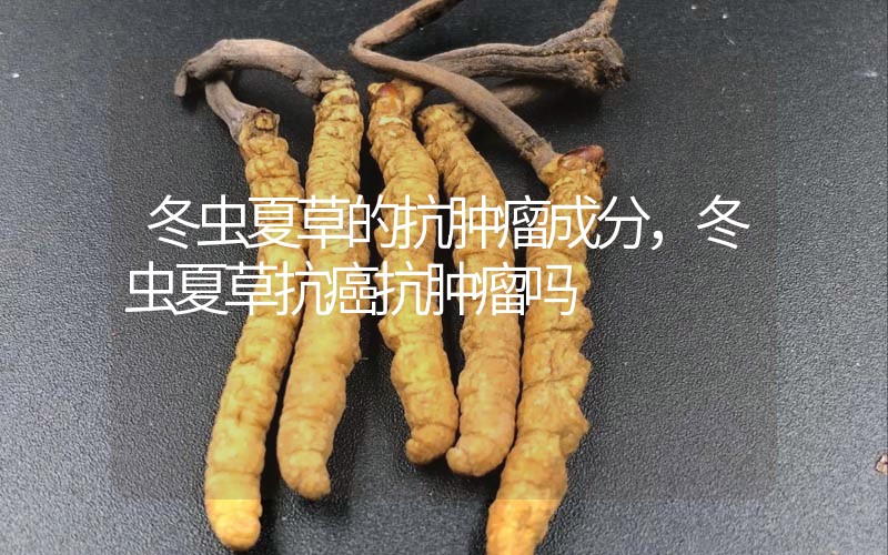 冬蟲夏草的抗腫瘤成分，冬蟲夏草抗癌抗腫瘤嗎？
