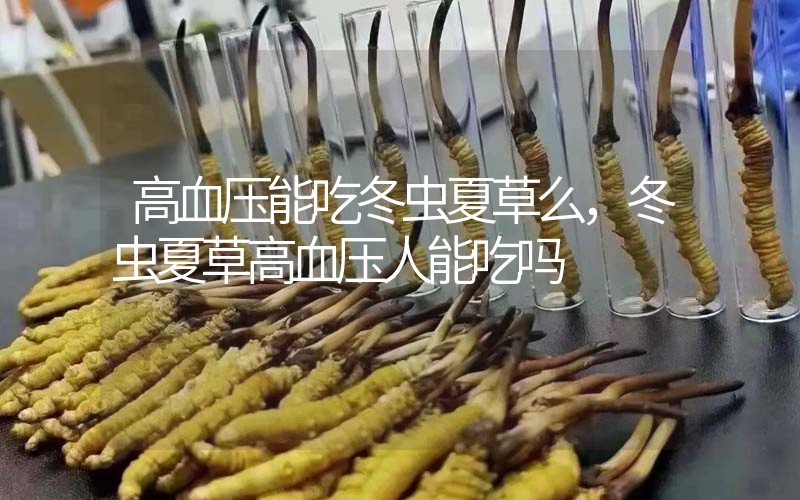高血壓能吃冬蟲夏草么，冬蟲夏草高血壓人能吃嗎