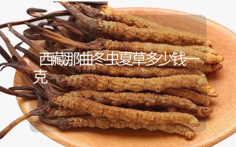 西藏那曲冬蟲(chóng)夏草多少錢(qián)一克？