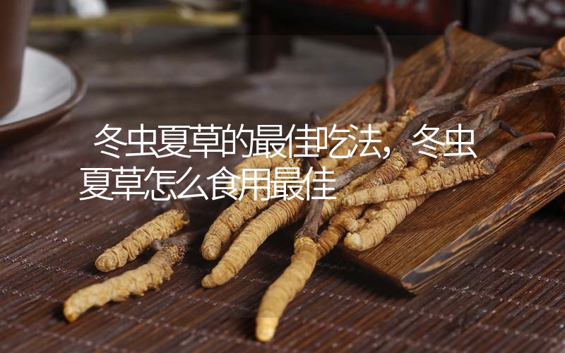 冬蟲夏草的最佳吃法，冬蟲夏草怎么食用最佳