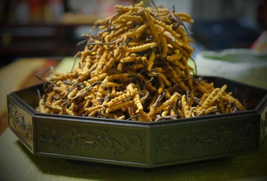 <a href=http://www.sdmkid.com/ target=_blank class=infotextkey>冬蟲夏草</a>