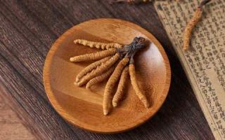 一看就知道，這才是真正的新鮮冬蟲夏草！