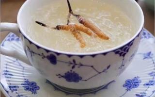 冬蟲夏草燉燕窩怎么做？