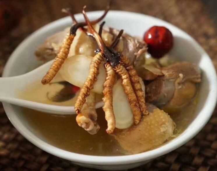 冬蟲(chóng)夏草可以空腹吃嗎？