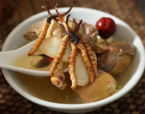 小孩子可以吃冬蟲夏草嗎？