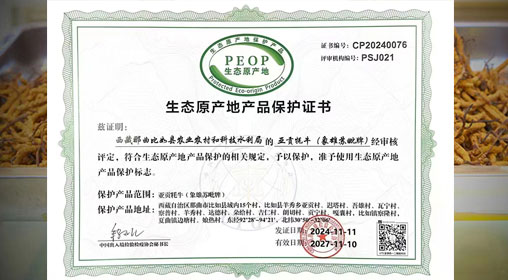 德耀娜秀 奮進(jìn)比如║熱烈祝賀！比如縣“亞貢牦?！比脒x農(nóng)業(yè)農(nóng)村部全國名特優(yōu)新農(nóng)產(chǎn)品名錄