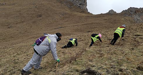 <a href=http://www.sdmkid.com/sdph/zf/ target=_blank class=infotextkey>珍峰冬蟲夏草</a>：源自世界屋脊的養(yǎng)生瑰寶