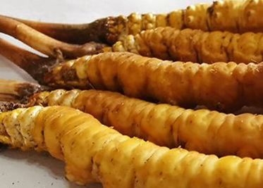 <a href=http://www.sdmkid.com/sdph/zf/ target=_blank class=infotextkey>珍峰冬蟲(chóng)夏草</a>主要的銷(xiāo)售模式