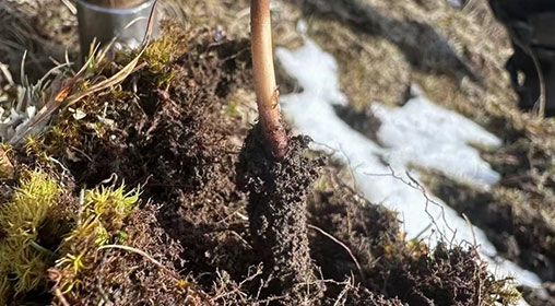 <a href=http://www.sdmkid.com/xinxian/ target=_blank class=infotextkey>新<a href=http://www.sdmkid.com/xinxian/ target=_blank class=infotextkey>鮮冬蟲夏草</a></a>存放