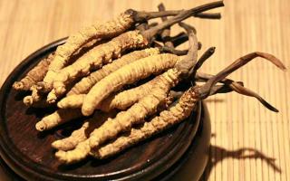 冬蟲夏草的價(jià)格一克：為何如此昂貴？