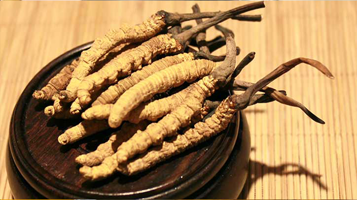 未來(lái)冬蟲夏草會(huì)漲價(jià)嗎？