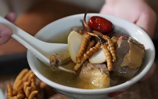 冬蟲(chóng)夏草搭配有道，滋養(yǎng)肺部效果妙