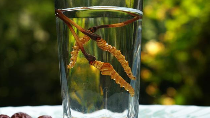 <a href=http://www.sdmkid.com/xinxian/ target=_blank class=infotextkey>鮮冬蟲夏草</a>怎么泡好吃？這些配方讓滋補更有滋味