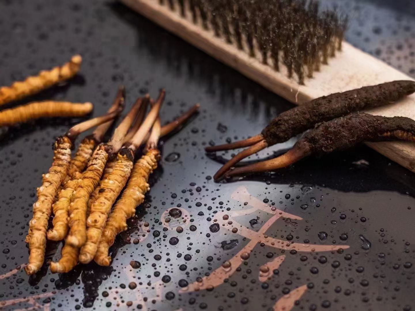 冬蟲(chóng)夏草鮮草清理全指南：洗凈滋補(bǔ)好食材