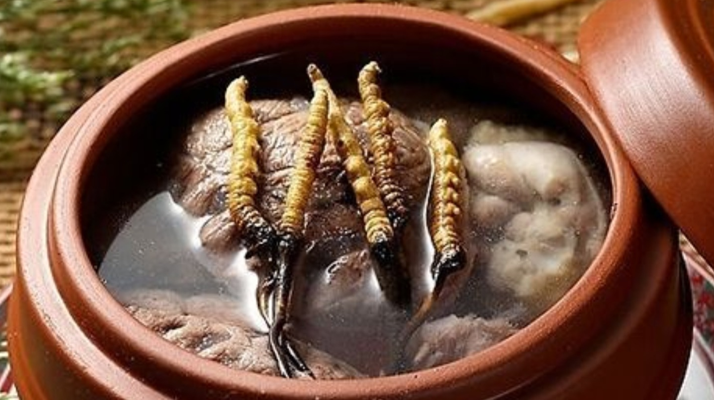 鮮冬蟲夏草吃多會上火嗎？一文解析真相