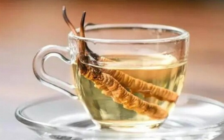 冬蟲夏草沖泡溫度科學全解：解鎖80℃的生命密碼