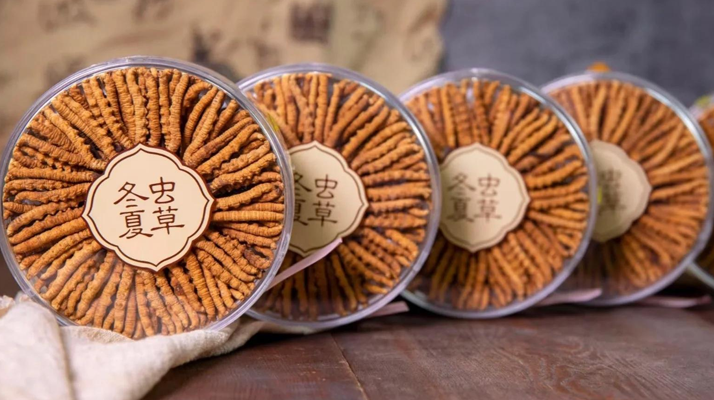 2025年7月冬蟲夏草價(jià)格行情公布！<a href=http://www.sdmkid.com/jiage/ target=_blank class=infotextkey>蟲草價(jià)格</a>降了！