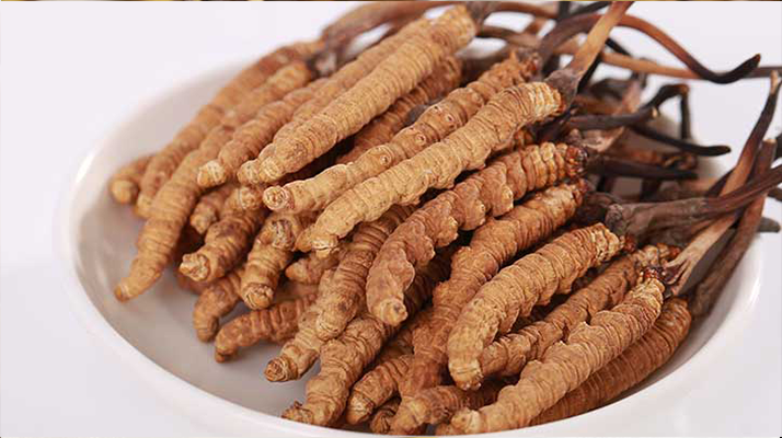 冬蟲夏草燉水鴨，搭配這些食材更滋補(bǔ)