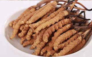 冬蟲夏草燉水鴨，搭配這些食材更滋補(bǔ)