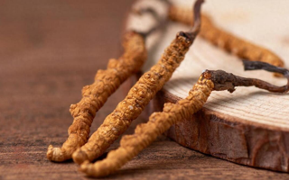 吃冬蟲夏草的好處有哪些？科學(xué)解讀這株"雪山黃金"的養(yǎng)生價值