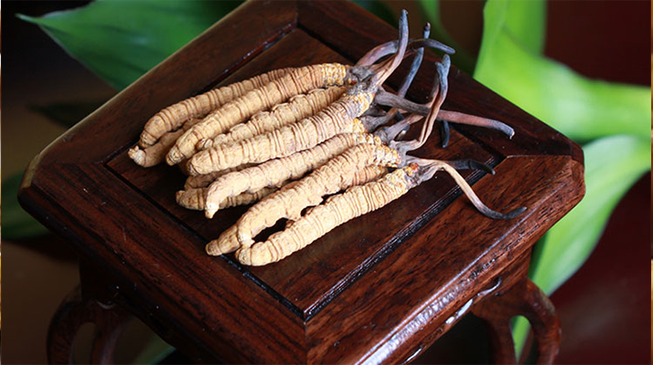 怎樣鑒別<a href=http://www.sdmkid.com/tag/6.html target=_blank class=infotextkey>冬蟲(chóng)夏草的產(chǎn)地</a>