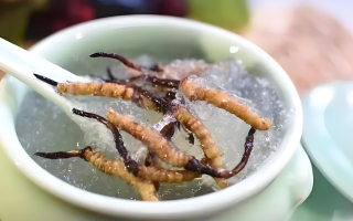 什么時候吃冬蟲夏草好