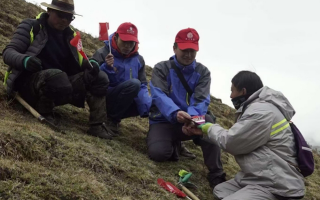 冬蟲夏草：把握最佳采摘季，守護(hù)自然饋贈(zèng)