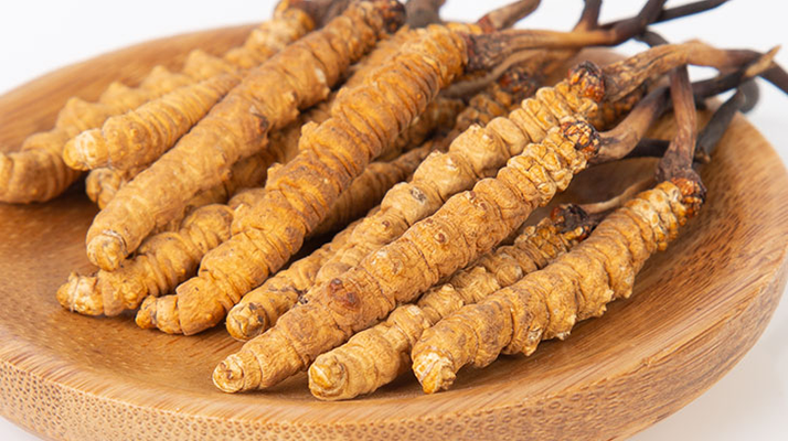 冬蟲(chóng)夏草，真有那么大效果？