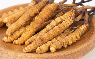 冬蟲(chóng)夏草，真有那么大效果？