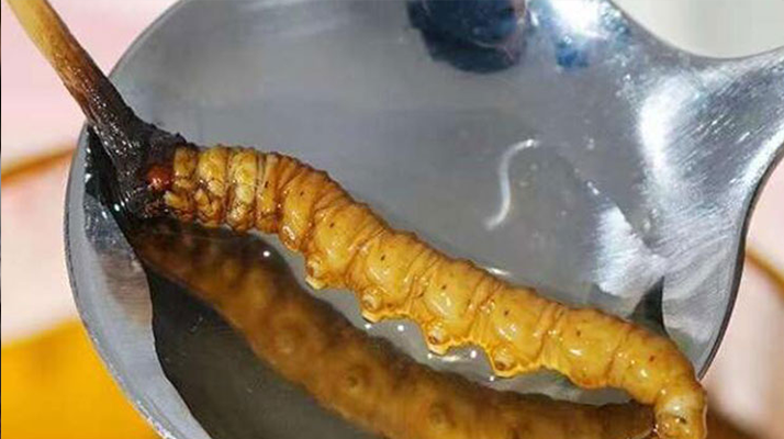 水煮鮮冬蟲夏草：保留營(yíng)養(yǎng)的最佳做法