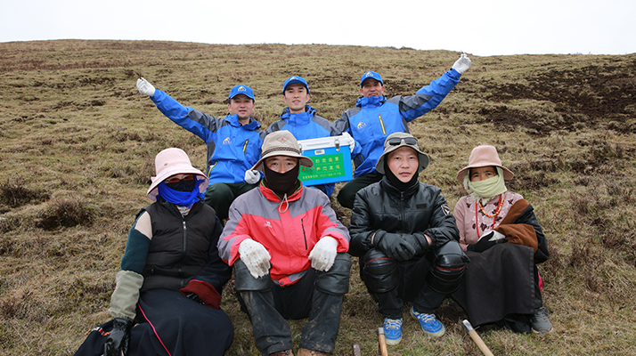 西藏冬蟲夏草的主要產(chǎn)地：品質(zhì)與地域特色詳解