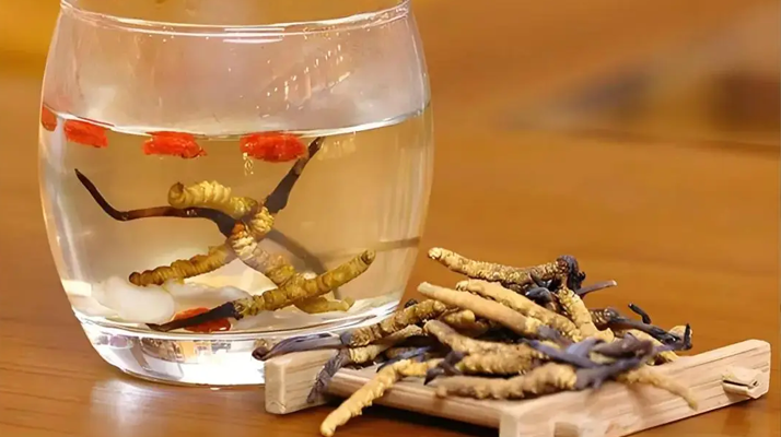 長期喝冬蟲夏草泡水好嗎？科學(xué)分析與飲用指南