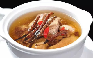 冬蟲夏草怎樣燉是最好的？掌握這幾步，營養(yǎng)不流失還美味