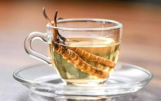 一瓶酒泡多少冬蟲(chóng)夏草？科學(xué)搭配有講究