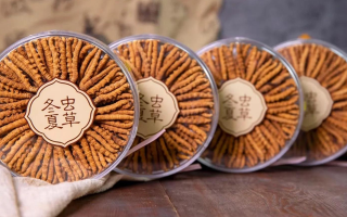 把握黃金時(shí)段！冬蟲(chóng)夏草在這些時(shí)候吃效果更佳