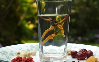 冬蟲夏草能空腹泡水喝嗎？不同人群需區(qū)別對待