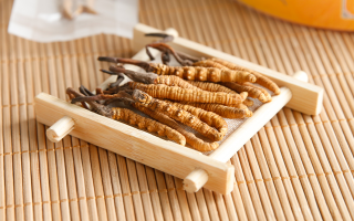 小孩多大可以喝冬蟲(chóng)夏草？分齡建議與食用安全指南