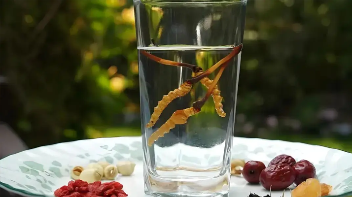 人參配蟲草泡酒，泡多久才好喝 