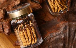 冬蟲夏草養(yǎng)生指南：分清滋補功效，避開養(yǎng)生誤區(qū)