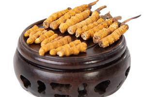 冬蟲夏草的頭期斷草好嗎？有沒有營養(yǎng)價值？