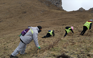 非法采挖蟲草的常見誤區(qū)、合規(guī)清單、采集證辦理流程與價(jià)值鑒定要點(diǎn)