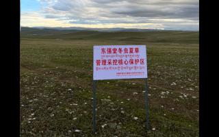 高原之上，蟲草共生；守護生態(tài)，東強堂與你同行