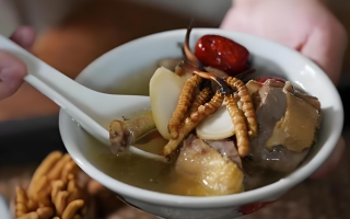  冬蟲夏草和什么食材搭配煲湯比較好？