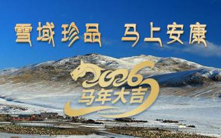 雪域高原藏珍品，2026愿您馬上安康——來自西藏那曲蟲草網(wǎng)的新春祝福