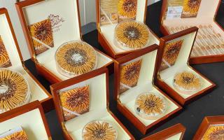 2026年西藏那曲新鮮冬蟲(chóng)夏草正品價(jià)格詳解-西藏那曲蟲(chóng)草網(wǎng)